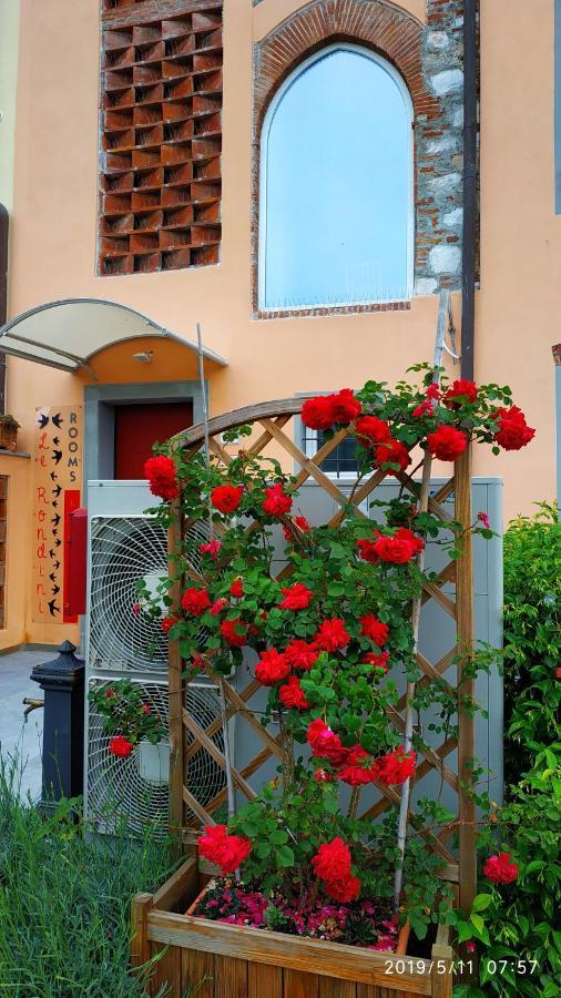 Le Rondini Di San Donato Bed & Breakfast Lucca Exterior photo