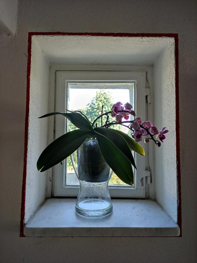 Le Rondini Di San Donato Bed & Breakfast Lucca Exterior photo